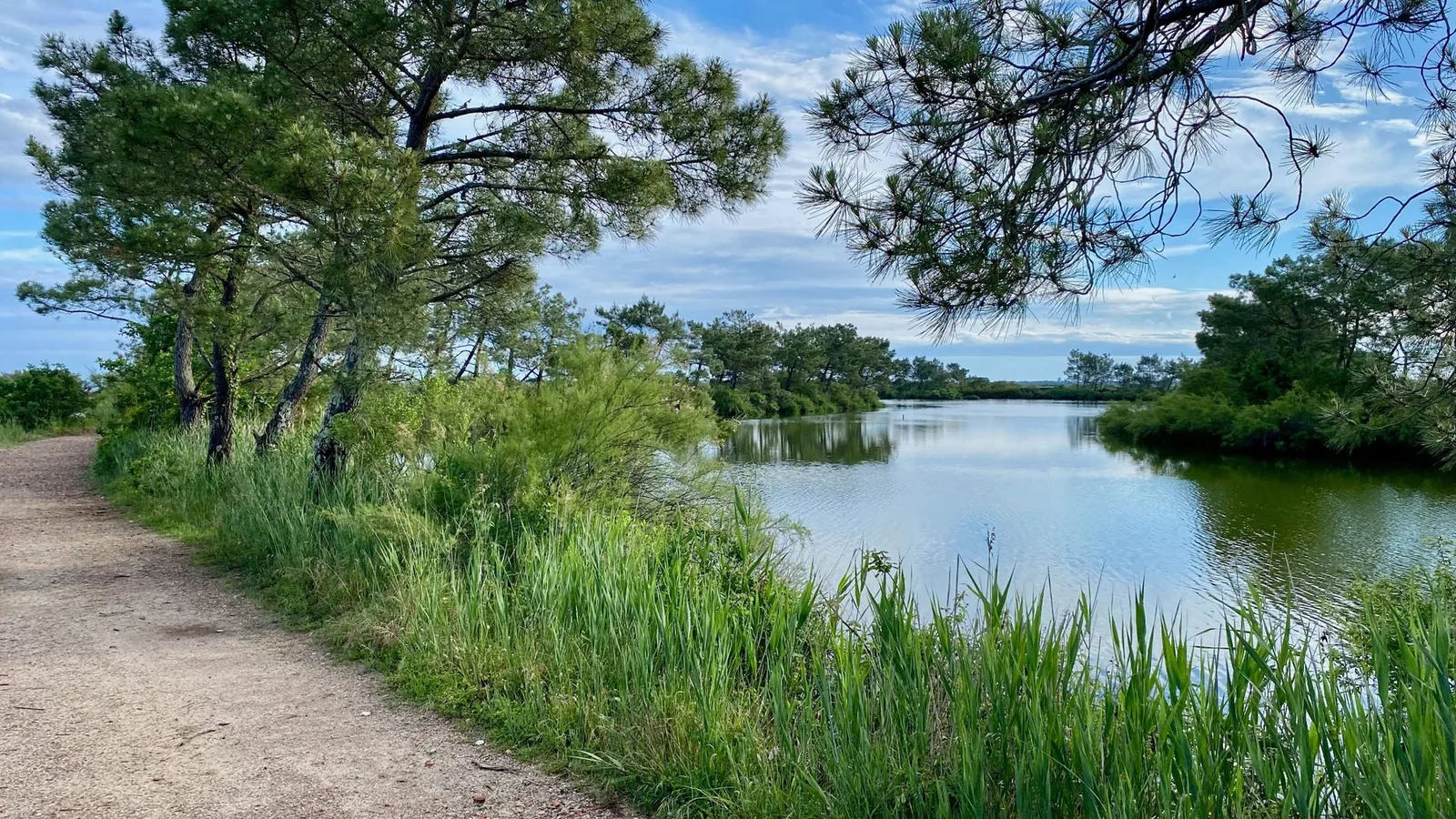 Le sentier du littoral — à 600 m